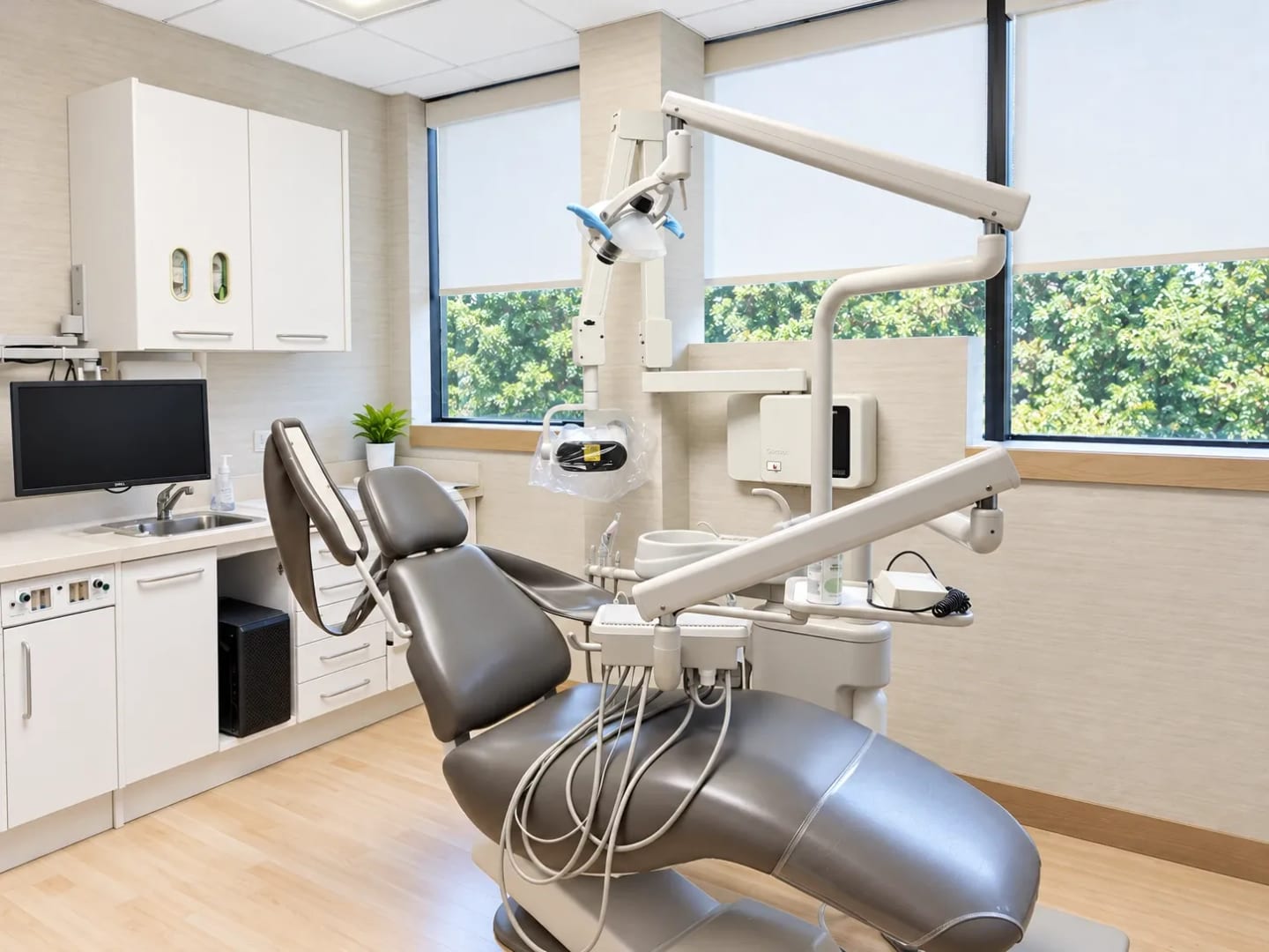 A bright treatment room with windows overlooking the trees